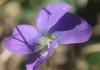 IMG_8238a