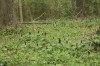 IMG_8258a