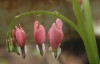 IMG_8270a