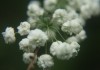 IMG_8292a