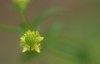 IMG_8336a