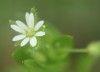 IMG_8339a