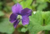 IMG_8384a