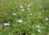 IMG_8393a