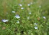 IMG_8395a