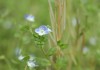 IMG_8397a