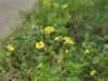 IMG_8401a