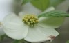 IMG_8408a