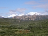 Denali National Park