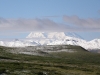 Denali National Park